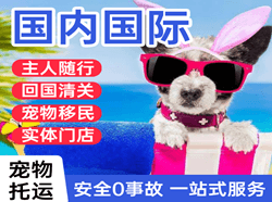 北京机场货运国际宠物托运 【国